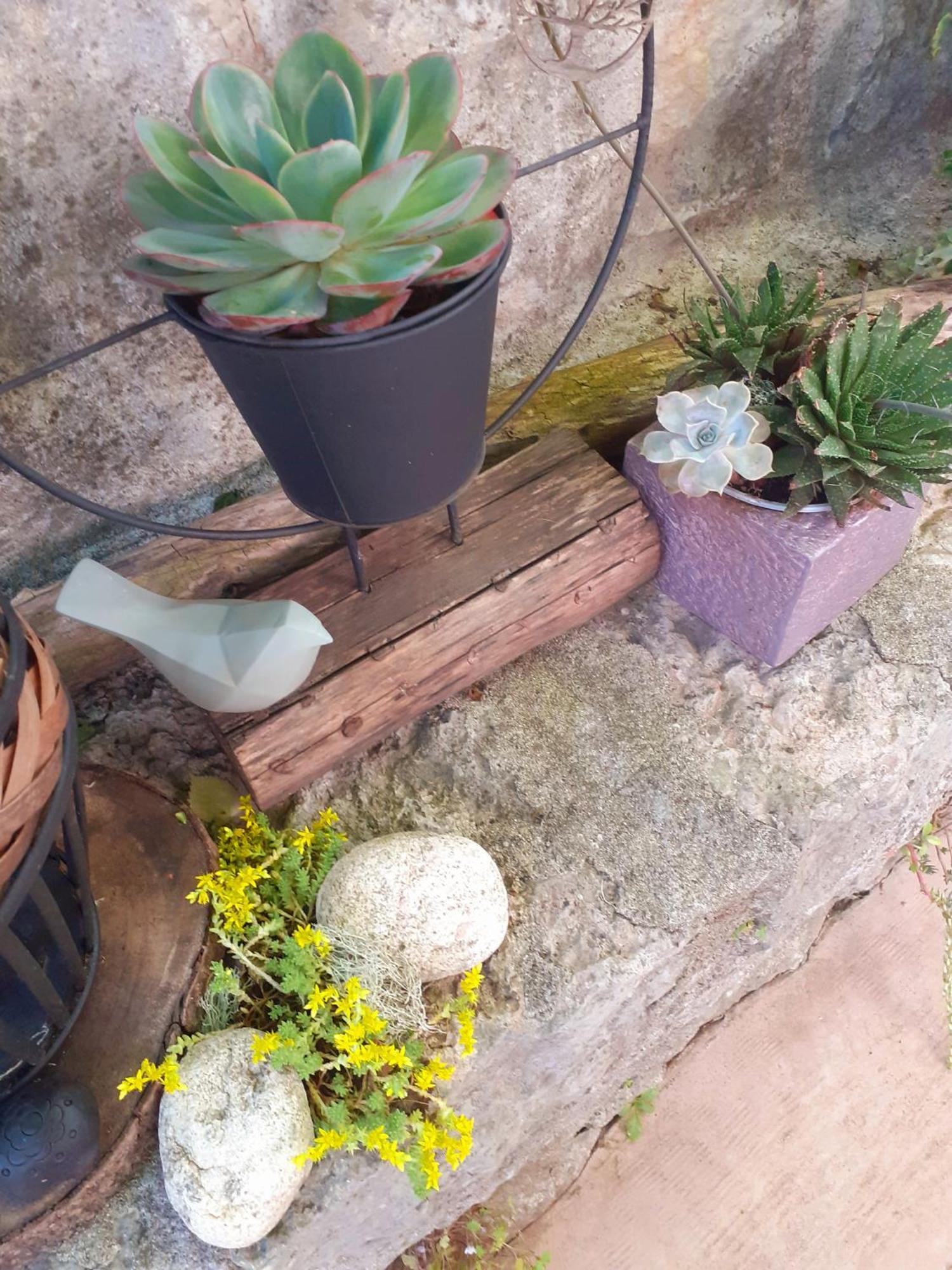 Sous Le Tilleul A Ruoms Dış mekan fotoğraf